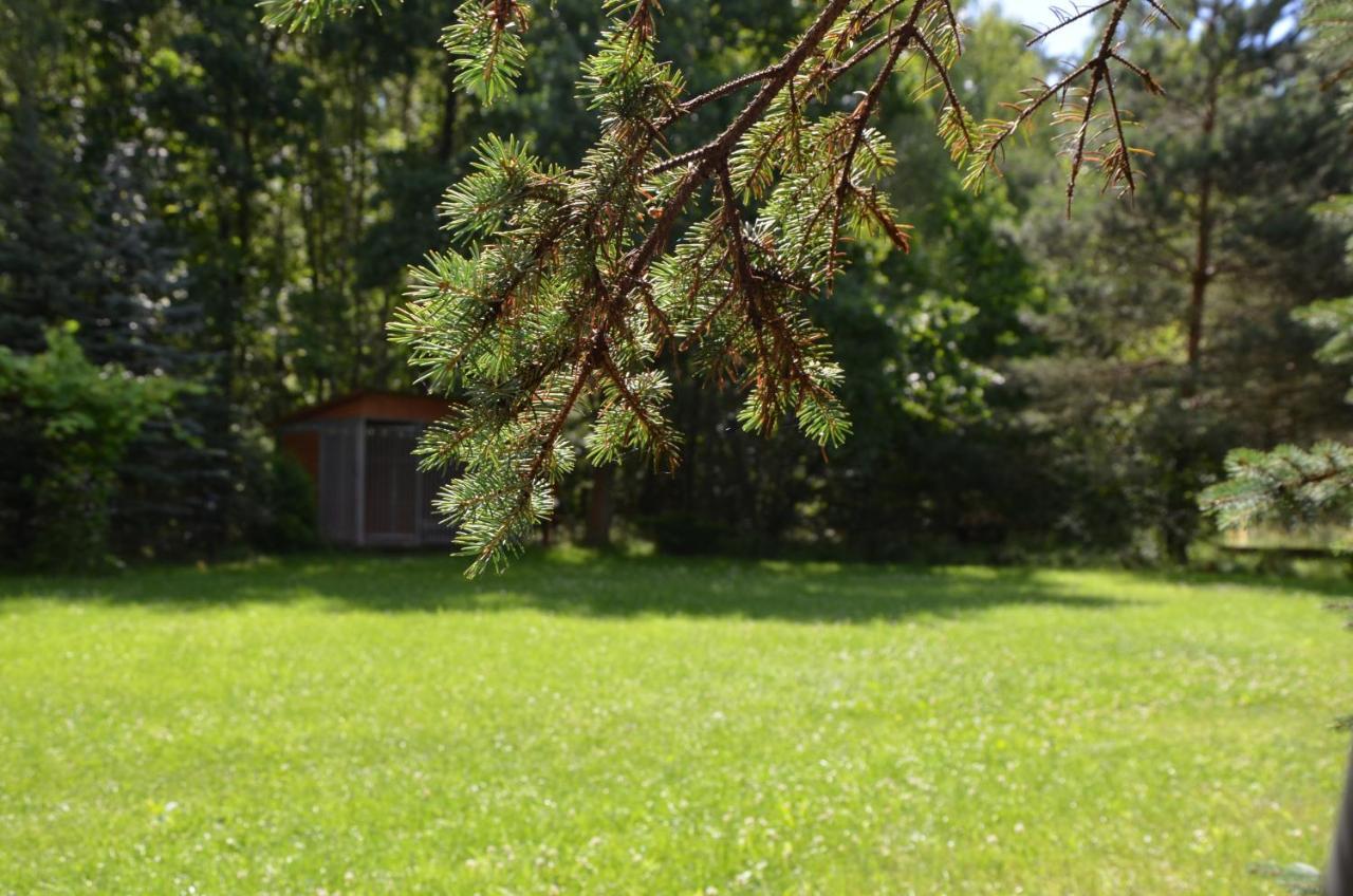 Agroturystyka Czekaj Przy Suntago Lublinow Exterior foto
