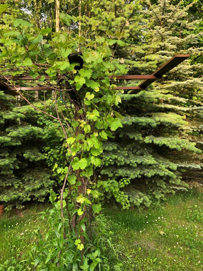 Agroturystyka Czekaj Przy Suntago Lublinow Exterior foto